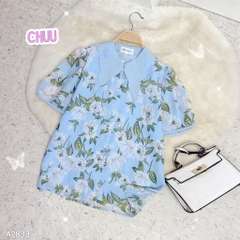 Áo Sơ Mi Cổ Cánh Điệp A2833