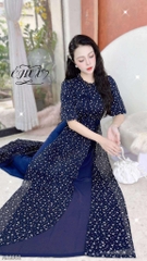 Áo Dài Đàn Bầu 4T AD2802 (áo lẻ)