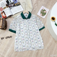 ASM Hoa Cổ Sen Màu