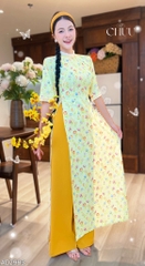 Áo Dài Yến Tầm Xuân AD2983 (áo lẻ)