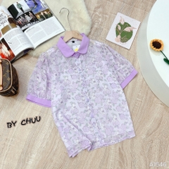 ASM Hoa Cổ Sen Màu