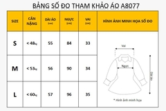 Áo Sơ Mi Lụa Lạnh Cổ Nhọn A8077