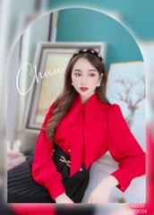 Áo Sơ Mi Mango Bèo Nhỏ A9262