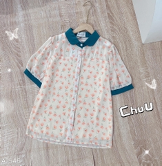 ASM Hoa Cổ Sen Màu