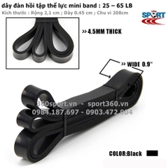 Dây kháng lực tập gym 25 – 65 LB