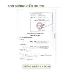 Son Dưỡng Môi Gấc Mộc An - Bản Limited