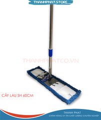 Cây lau bụi san hô homeinno 90cm