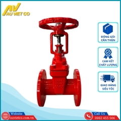 Van cổng ty nổi DN65