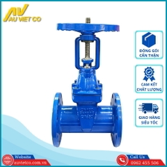 Van cổng ty nổi DN100