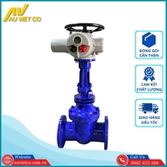 Van Cổng Điều Khiển Điện