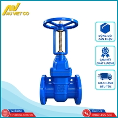 Van cổng ty nổi DN150