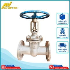 Van cổng inox DN100