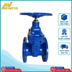 Van cổng ty chìm mặt bích tay quay