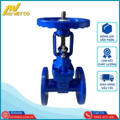 Van cổng ty nổi DN50