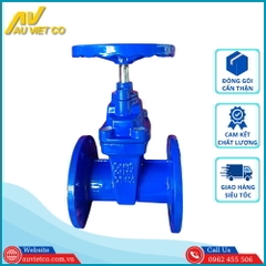 Van cổng gang ty chìm