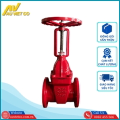 Van cổng ty nổi DN200