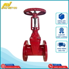 Van cổng gang ty nổi