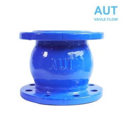 Van một chiều lò xo AUT