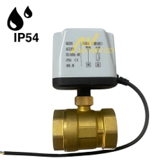 Van Bi Đồng Nối Ren Điều Khiển Điện | Thường Đóng - Thường Mở