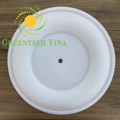 Màng bơm Husky 2″ Teflon (15K313)