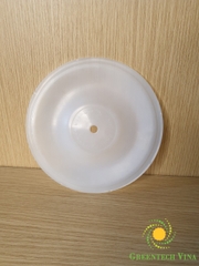 Màng bơm TDS 0.5″ Teflon (PD000025)
