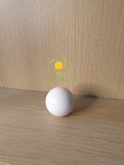 Bi bơm Wilden T8 Teflon (08-1080-55)