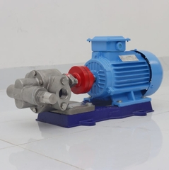 Bơm bánh răng ăn khớp ngoài HLG25-SUS-MC (1″) Inox