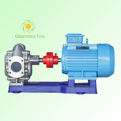 Bơm bánh răng HLG50-SUS-MC, Motor 4.0 KW 4P 380V