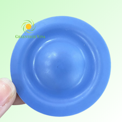 Màng bơm Bluewhite Teflon (USA)