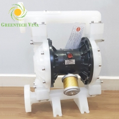 bơm màng DS14-PAL-TPTP-02