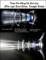 watch-service-and-repair-center-stores-in-ho-chi-minh-city-vietnam-timesstore-vn