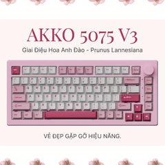 Bàn phím cơ AKKO 5075 V3 Multi Mode RGB Hotswap (AKKO Sw)
