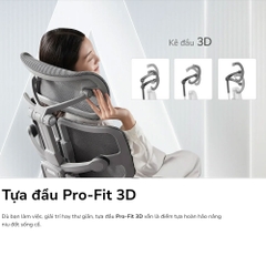 Ghế công thái học Epione Alius Chair