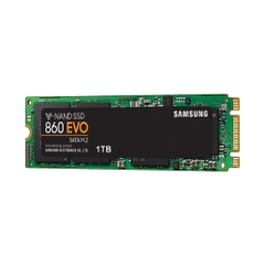 SSD Samsung 860 Evo 1TB M.2 2280 SATA III MZ-N6E1T0BW