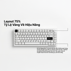 Bàn phím cơ AKKO 5075S RGB Hotswap (AKKO Sw)