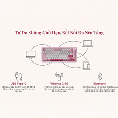 Bàn phím cơ AKKO 5075 V3 Multi Mode RGB Hotswap (AKKO Sw)