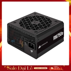 Nguồn máy tính Corsair RM750e PCIE5 750W 80 Plus Gold CP-9020262-NA