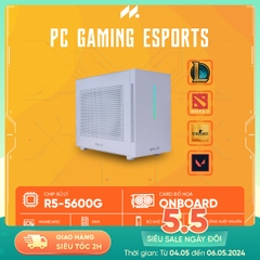 PC Gaming Esports R5 MINI (Ryzen 5 5600G, Radeon Graphics, Ram 16GB, SSD 500GB, 550W)