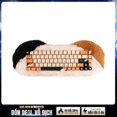 Bàn phím cơ không dây Dry Studio PetBrick 65 Calico RGB Hotswap (Dry Studio Sw)
