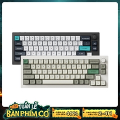 Bàn phím cơ không dây Keychron Q2 Max RGB Hotswap (Gateron Sw)