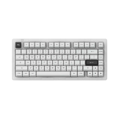 Bàn phím cơ AKKO ACR Pro 75 RGB Akko CS Crystal