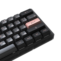 Bàn phím cơ AKKO ACR61 Black RGB Akko CS Jelly Black