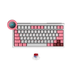 Bàn phím cơ Dry Studio Battleye 75 RT LCD RGB Hotswap 8K Rapid Trigger (Magnetic Sw)