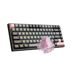 Bàn phím cơ không dây AKKO 3084B Plus Black Pink (Akko CS Sw)