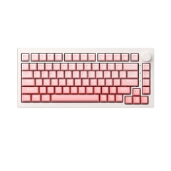 Bàn phím cơ không dây AKKO 5075 V3 Gradient RGB Hotswap (AKKO Switch)