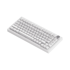 Bàn phím cơ không dây AKKO 5075B Plus White Transparent ASA RGB Hotswap (AKKO Sw)