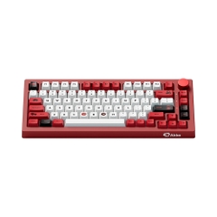 Bàn phím cơ không dây AKKO 5075B Plus World Tour Viet Nam RGB Hotswap (Akko Sw)