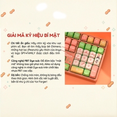 Bàn phím cơ không dây AKKO 5108B Plus SpyxFamily RGB Hotswap (AKKO Sw)
