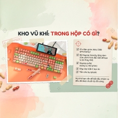 Bàn phím cơ không dây AKKO 5108B Plus SpyxFamily RGB Hotswap (AKKO Sw)