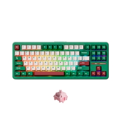 Bàn phím cơ không dây AKKO TAC87 Multi Mode RGB Hotswap (AKKO Sw)